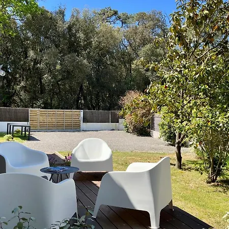 Villa Des Pins - Piscine & Proche De La Saint-Hilaire-de-Talmont